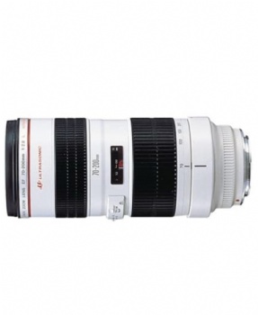 Canon EF 70-200mm f/2.8L USM Telephoto Zoom Lens for Canon SLR Cameras